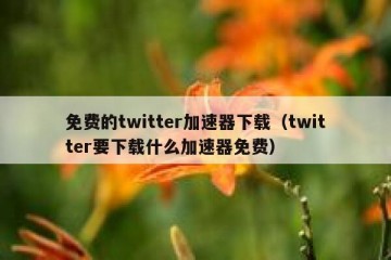 免费的twitter加速器下载（twitter要下载什么加速器免费）