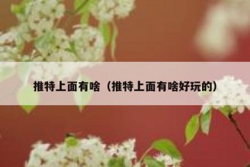 推特上面有啥（推特上面有啥好玩的）