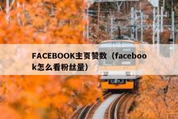 FACEBOOK主页赞数（facebook怎么看粉丝量）