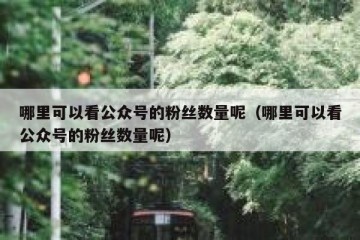 哪里可以看公众号的粉丝数量呢（哪里可以看公众号的粉丝数量呢）