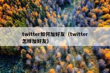 twitter如何加好友（twitter怎样加好友）