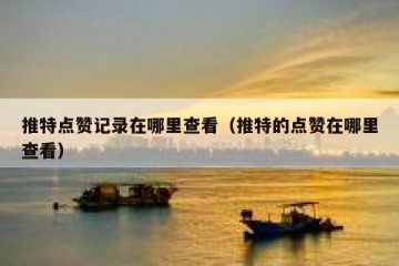 推特点赞记录在哪里查看（推特的点赞在哪里查看）