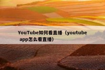 YouTube如何看直播（youtube app怎么看直播）