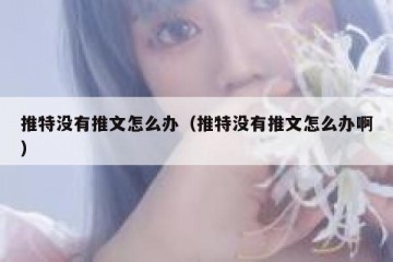 推特没有推文怎么办（推特没有推文怎么办啊）