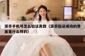 派币手机号怎么验证真假（派币验证成功的界面是什么样的）