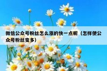 微信公众号粉丝怎么涨的快一点呢（怎样使公众号粉丝变多）