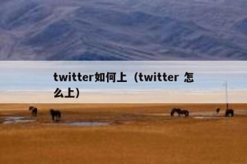 twitter如何上（twitter 怎么上）
