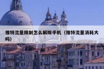 推特流量限制怎么解除手机（推特流量消耗大吗）