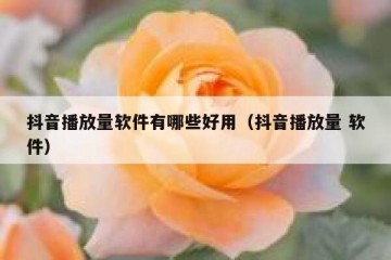 抖音播放量软件有哪些好用（抖音播放量 软件）