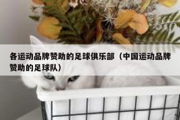 各运动品牌赞助的足球俱乐部（中国运动品牌赞助的足球队）