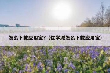 怎么下载应用宝?（优学派怎么下载应用宝）