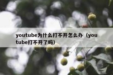 youtube为什么打不开怎么办（youtube打不开了吗）