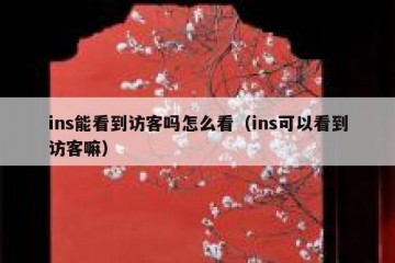 ins能看到访客吗怎么看（ins可以看到访客嘛）