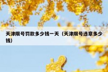 天津限号罚款多少钱一天（天津限号违章多少钱）