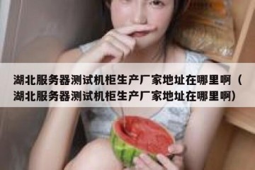 湖北服务器测试机柜生产厂家地址在哪里啊（湖北服务器测试机柜生产厂家地址在哪里啊）