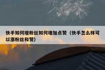 快手如何增粉丝如何增加点赞（快手怎么样可以涨粉丝和赞）