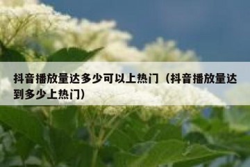 抖音播放量达多少可以上热门（抖音播放量达到多少上热门）