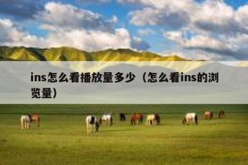 ins怎么看播放量多少（怎么看ins的浏览量）