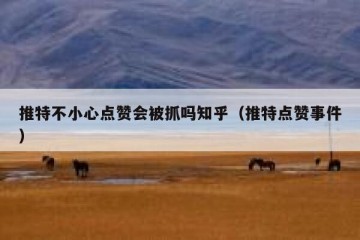 推特不小心点赞会被抓吗知乎（推特点赞事件）