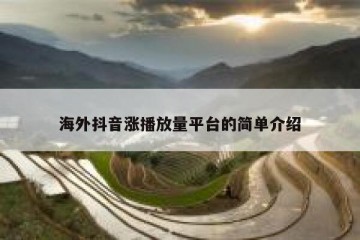 海外抖音涨播放量平台的简单介绍