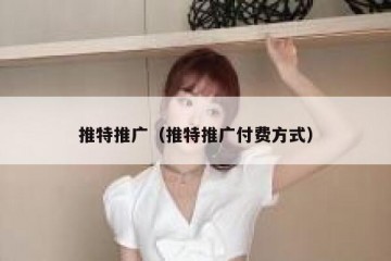推特推广（推特推广付费方式）