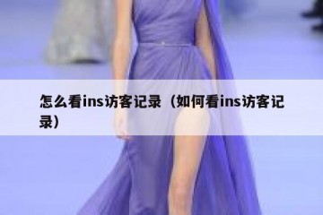 怎么看ins访客记录（如何看ins访客记录）
