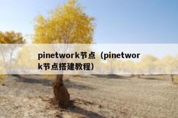 pinetwork节点（pinetwork节点搭建教程）