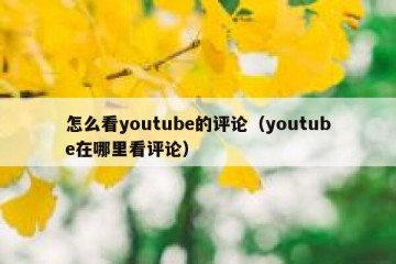 怎么看youtube的评论（youtube在哪里看评论）