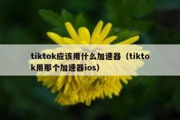 tiktok应该用什么加速器（tiktok用那个加速器ios）