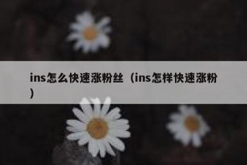 ins怎么快速涨粉丝（ins怎样快速涨粉）