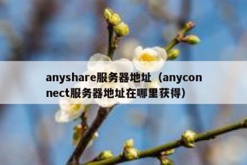 anyshare服务器地址（anyconnect服务器地址在哪里获得）