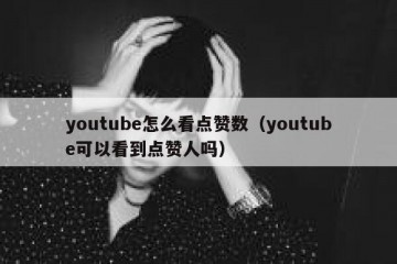 youtube怎么看点赞数（youtube可以看到点赞人吗）