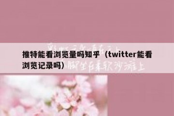推特能看浏览量吗知乎（twitter能看浏览记录吗）