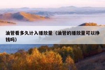 油管看多久计入播放量（油管的播放量可以挣钱吗）