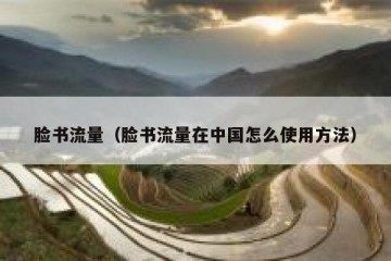 脸书流量（脸书流量在中国怎么使用方法）