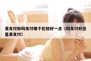 易支付和码支付哪个比较好一点（码支付好还是易支付）