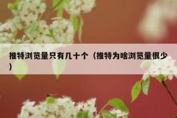 推特浏览量只有几十个（推特为啥浏览量很少）