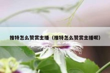 推特怎么赞赏主播（推特怎么赞赏主播呢）