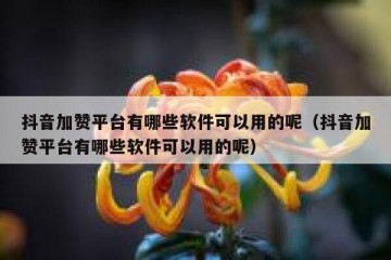 抖音加赞平台有哪些软件可以用的呢（抖音加赞平台有哪些软件可以用的呢）
