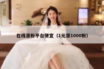 在线涨粉平台便宜（1元涨1000粉）