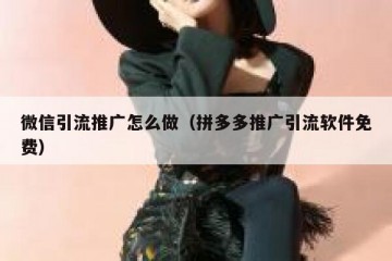 微信引流推广怎么做（拼多多推广引流软件免费）
