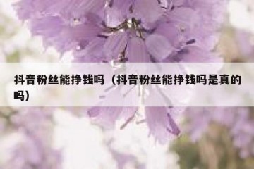 抖音粉丝能挣钱吗（抖音粉丝能挣钱吗是真的吗）
