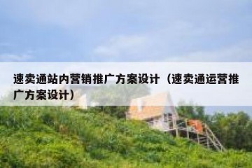 速卖通站内营销推广方案设计（速卖通运营推广方案设计）