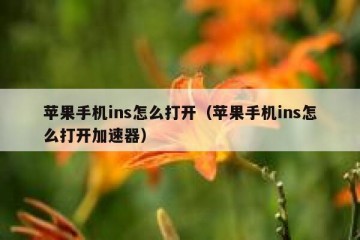苹果手机ins怎么打开（苹果手机ins怎么打开加速器）