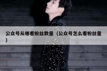 公众号从哪看粉丝数量（公众号怎么看粉丝量）