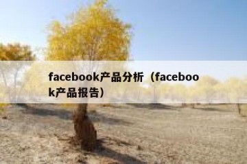 facebook产品分析（facebook产品报告）
