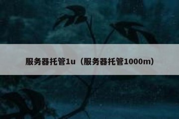 服务器托管1u（服务器托管1000m）