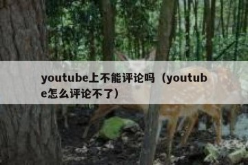 youtube上不能评论吗（youtube怎么评论不了）