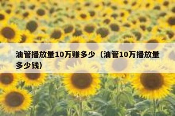 油管播放量10万赚多少（油管10万播放量多少钱）