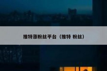 推特涨粉丝平台（推特 粉丝）